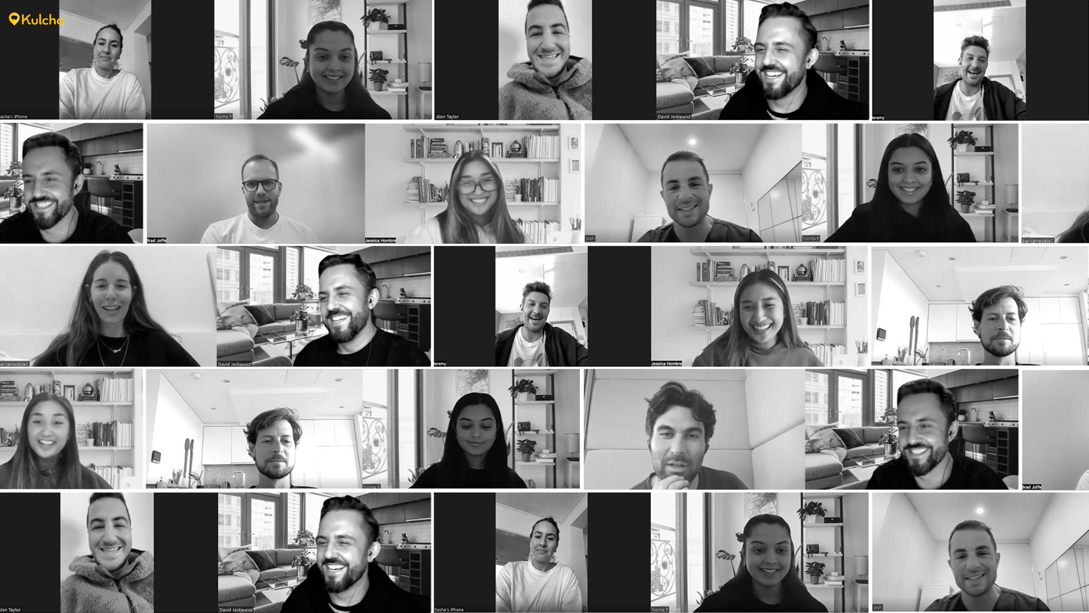 Grid of 50+ Zoom interviews